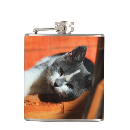 Kitten Heupfles (Voorkant)