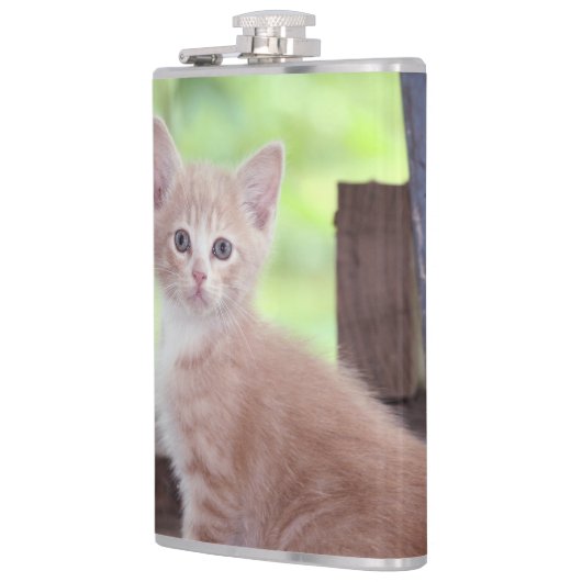 Kitten Heupfles (Links)