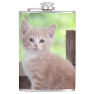 Kitten Heupfles