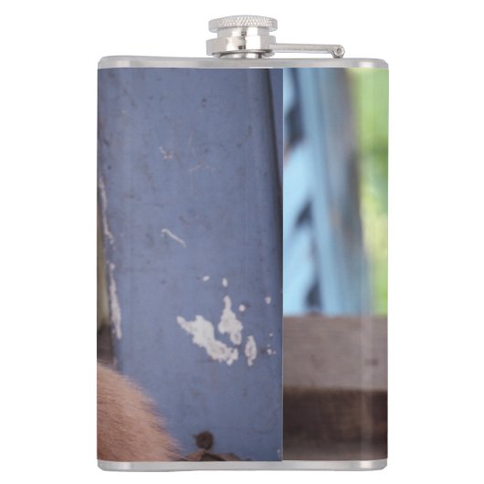 Kitten Heupfles (Achterkant)