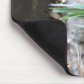 Kitten Hiding Behind Blade of Grass Muismat (Hoek)