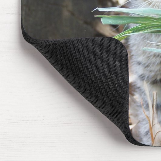 Kitten Hiding Behind Blade of Grass Muismat (Hoek)