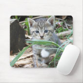 Kitten Hiding Behind Blade of Grass Muismat (Met muis)