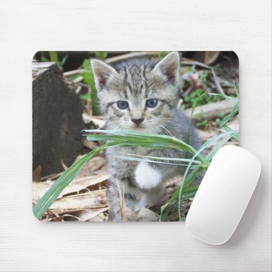 Kitten Hiding Behind Blade of Grass Muismat (Met muis)