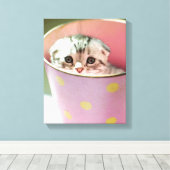 Kitten Hiding Canvas Afdruk (Insitu (Houten vloer))