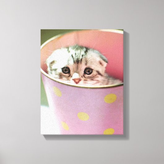 Kitten Hiding Canvas Afdruk (Voorkant)