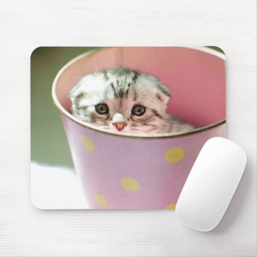 Kitten Hiding Muismat (Met muis)