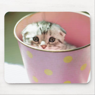 Kitten Hiding Muismat