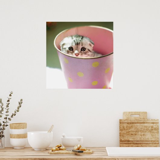 Kitten Hiding Poster (Keuken)
