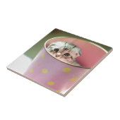 Kitten Hiding Tegeltje (Zijkant)