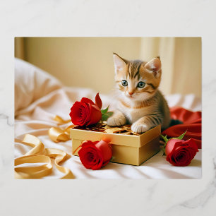 Kitten houden van teder romantisch mooi cadeau folie feestdagen briefkaart