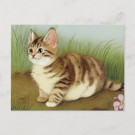  Kitten Illustratie met bloemen Briefkaart (Voorkant)