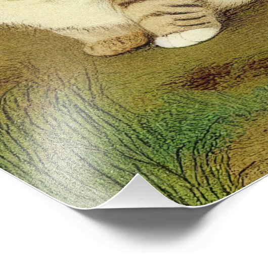 Kitten Illustratie met bloemen Foto Afdruk (Hoek)