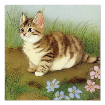 Kitten Illustratie met bloemen