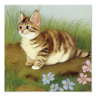  Kitten Illustratie met bloemen Foto Afdruk