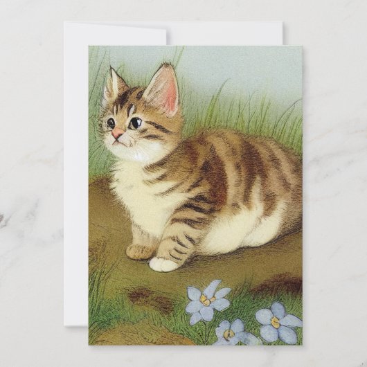 Kitten Illustratie met bloemen Kaart (Voorkant)