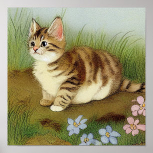  Kitten Illustratie met bloemen Poster