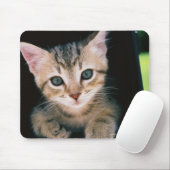 Kitten in brievenbus muismat (Met muis)