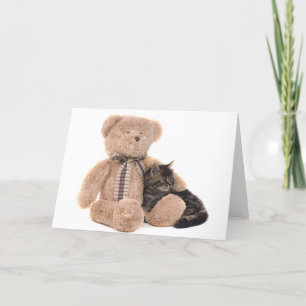 kitten in de armen van een teddybeer kaart