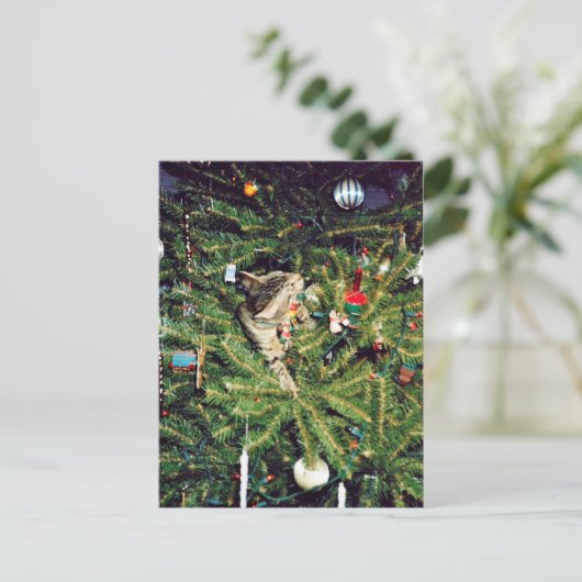 Kitten in de kerstboom feestdagenkaart (Staand voorkant)