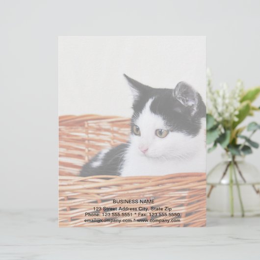 Kitten in de mand briefhoofd sjabloon (Staand voorkant)