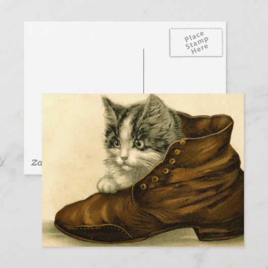  kitten in de schoen briefkaart (Voorkant / Achterkant)