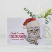 Kitten in de sneeuw met kerstmuts kaart (Staand voorkant)