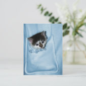 Kitten in de zak briefkaart (Staand voorkant)