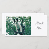 Kitten in een Apple-boom - Dank u Bedankkaart (Voorkant / Achterkant)