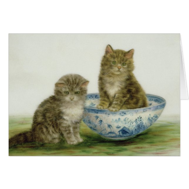 Kitten in een Blue China Bowl (Voorkant Horizontaal)