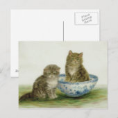 Kitten in een Blue China Bowl Briefkaart (Voorkant / Achterkant)