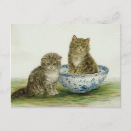 Kitten in een Blue China Bowl Briefkaart (Voorkant)
