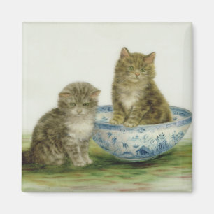 Kitten in een Blue China Bowl Magneet