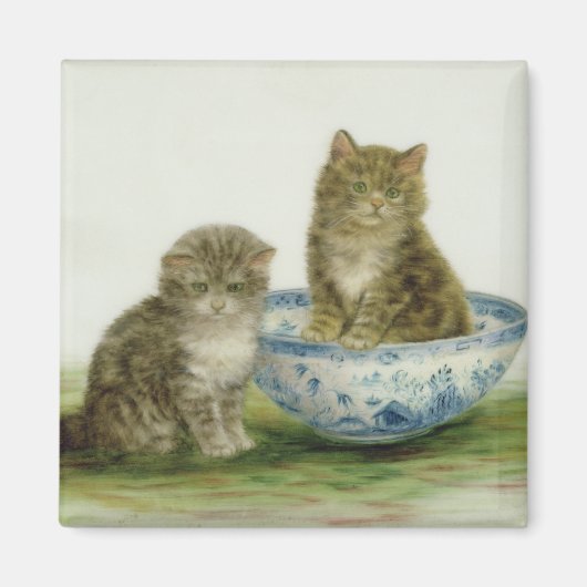 Kitten in een Blue China Bowl Magneet (Voorkant)