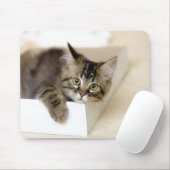 Kitten in een Box mousepad Muismat (Met muis)