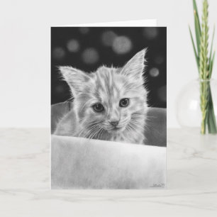 Kitten in een doos Wenskaart Kaart
