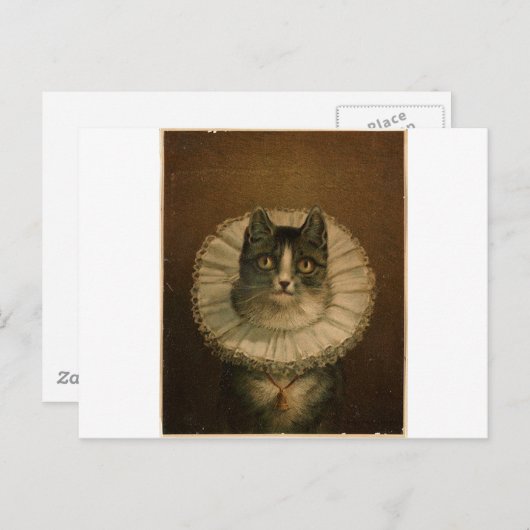 Kitten in een Elizabeth-rof Briefkaart (Voorkant / Achterkant)