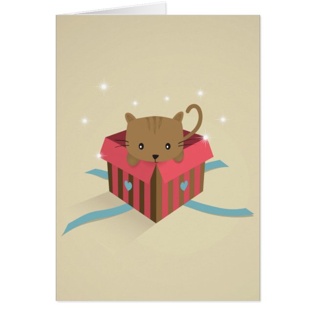 Kitten in een geopende cadeaudoos (Voorkant)