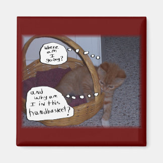 Kitten in een handmand magneet