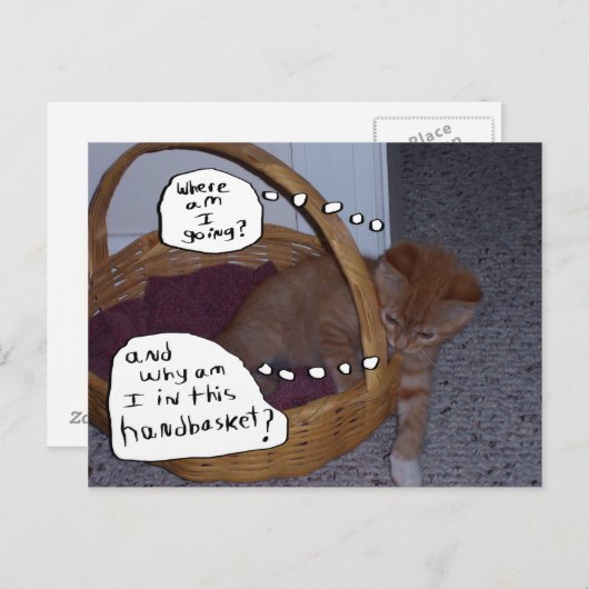 Kitten in een handmandje briefkaart (Voorkant / Achterkant)