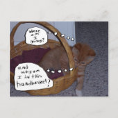 Kitten in een handmandje briefkaart (Voorkant)