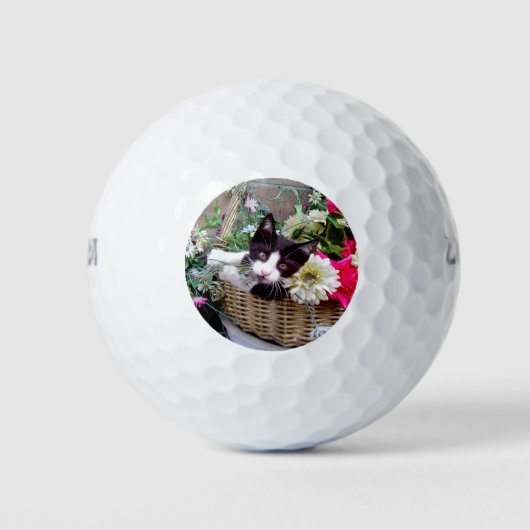 Kitten in een mand golfballen (Voorkant)