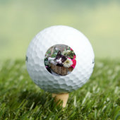 Kitten in een mand golfballen (Insitu Shirt)