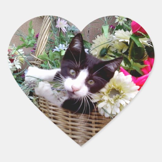 Kitten in een mand hart sticker (Voorkant)