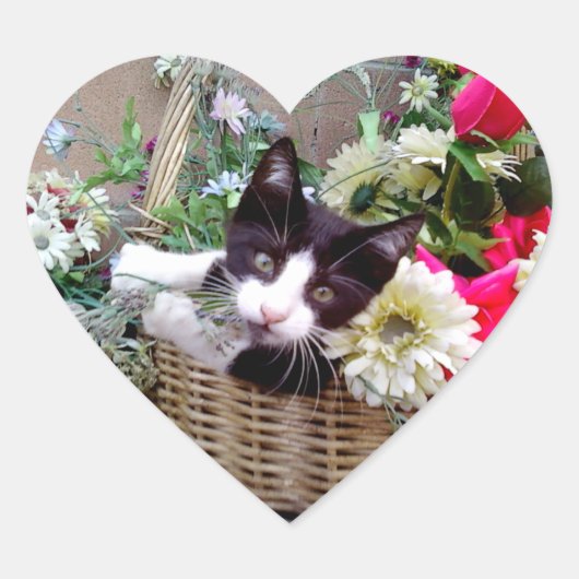 Kitten in een mand hart sticker (Voorkant)