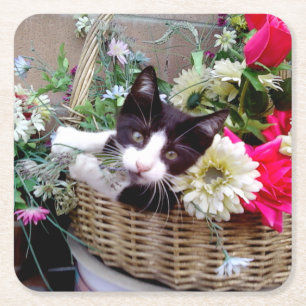 Kitten in een mand kartonnen onderzetters