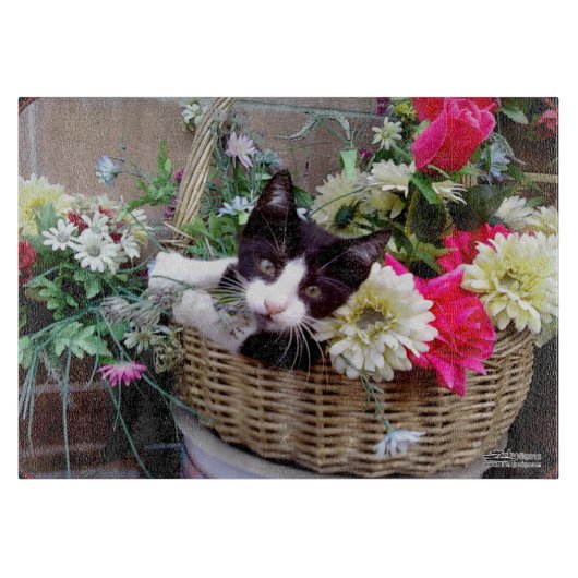 Kitten in een mand snijplank (Voorkant)