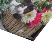 Kitten in een mand snijplank (Hoek)