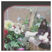 Kitten in een mand stof (Close Up)