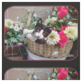 Kitten in een mand stof (Swatch)